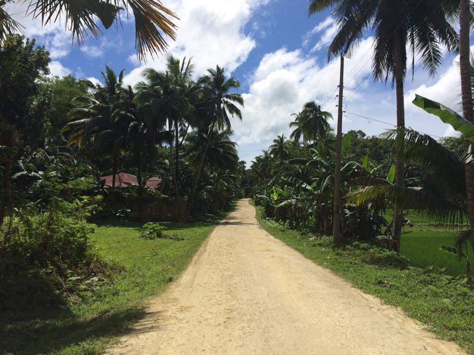 Bohol