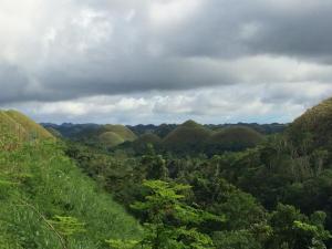 Chocolate Hills