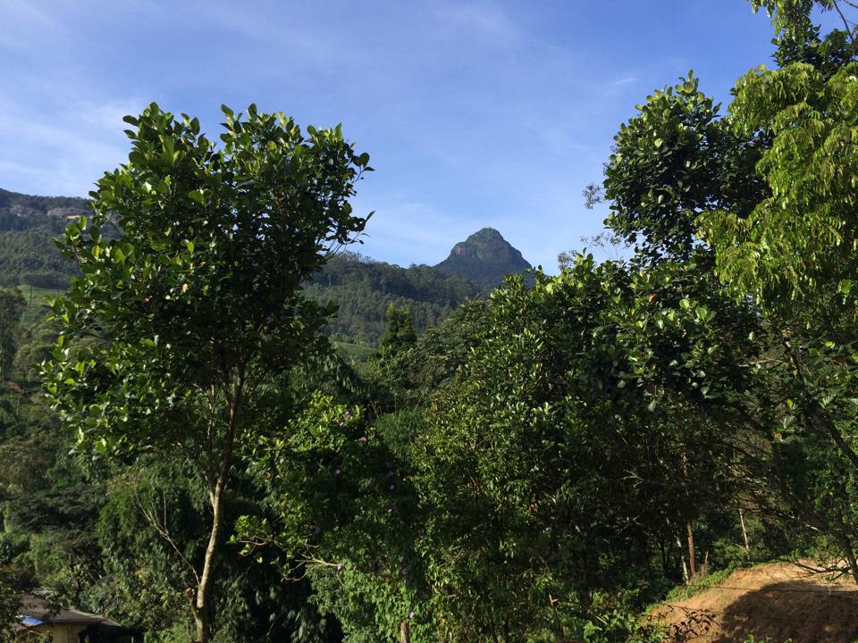 Blick von "unten" auf den Adam's Peak