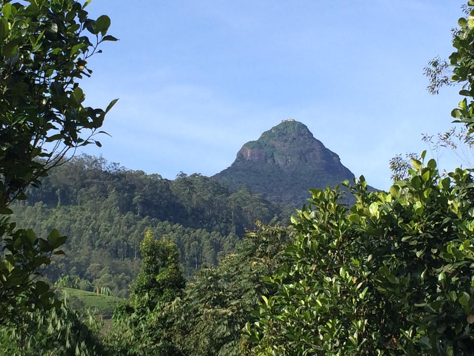 Adams_Peak_Sri_Lanka