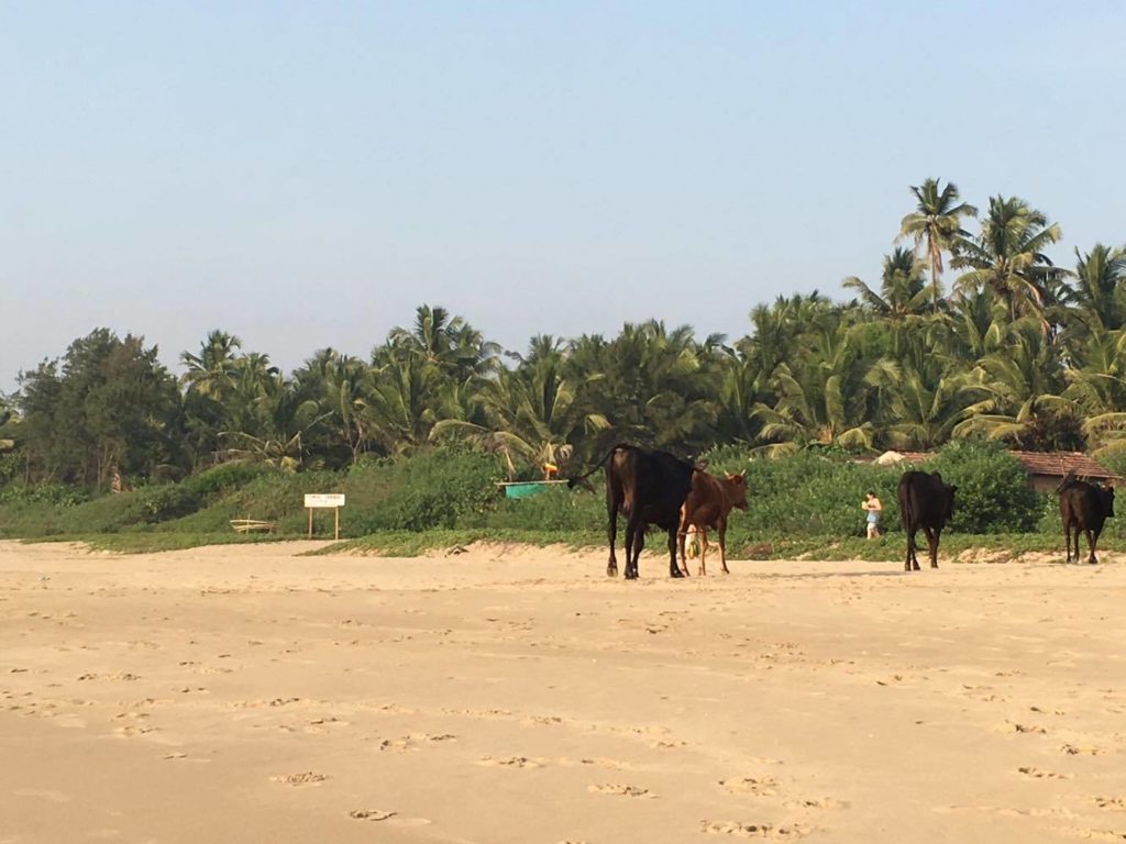 Gokarna Beach