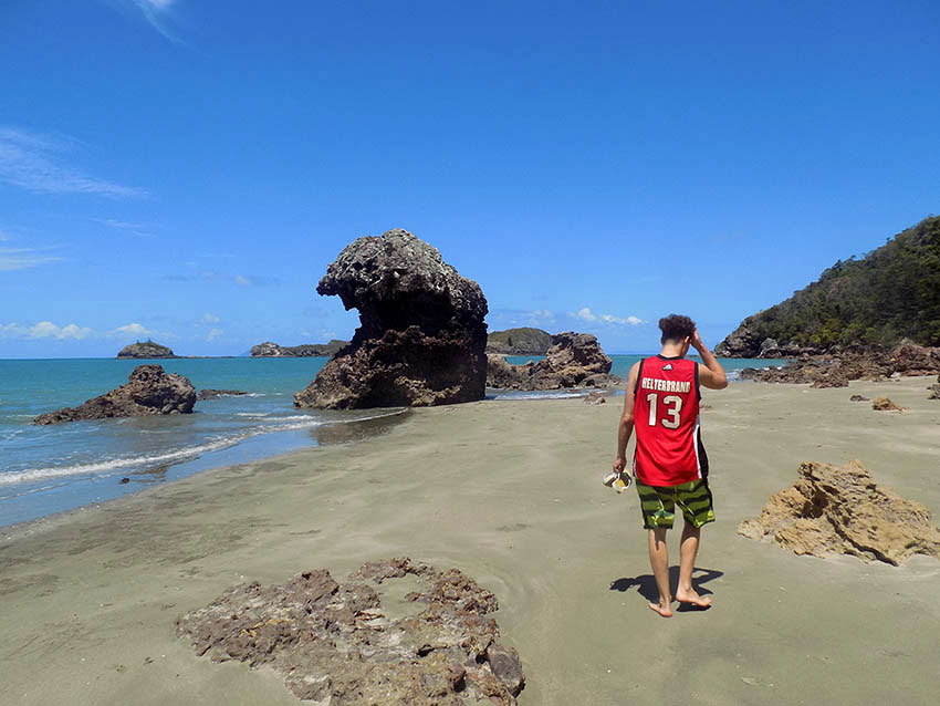 cape hillsborough kaengurus