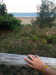 cape hillsborough kaengurus