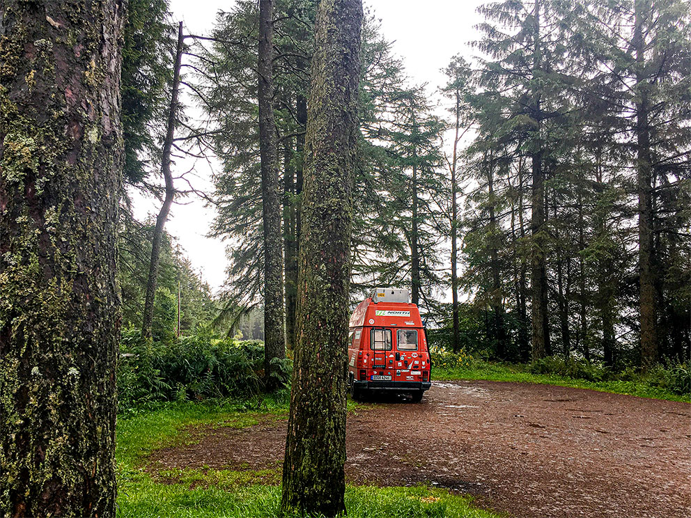 Mitten im Wald – urige und mystische Stimmung am Loch Lomond.