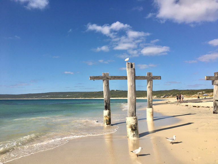Rochen in Hamelin Bay – Auf Schnupperkurs mit Meeresbewohnern