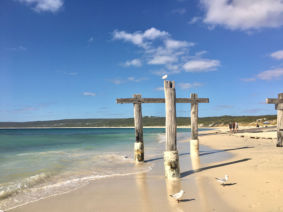 snippets-of-a-traveller-hamelin-bay